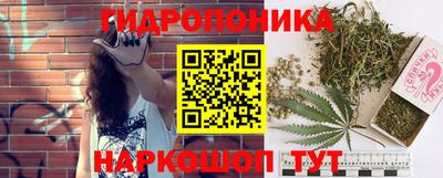 герыч Лесосибирск
