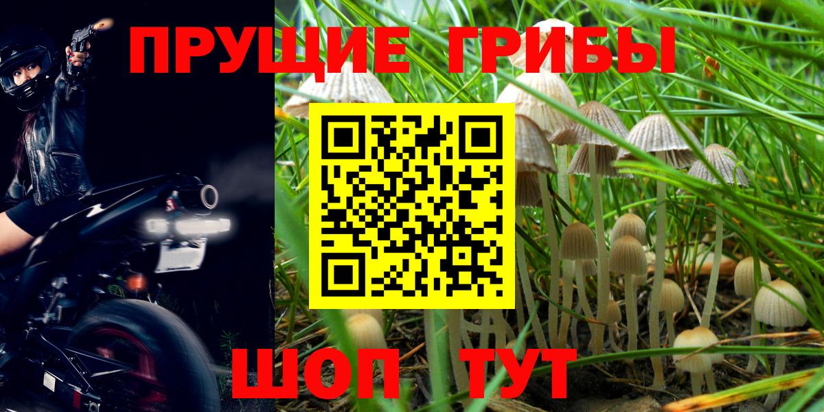 Галлюциногенные грибы Psilocybe  Псилоцибиновые грибы Magic Shrooms  Пугачёв  Вход с VPN 
