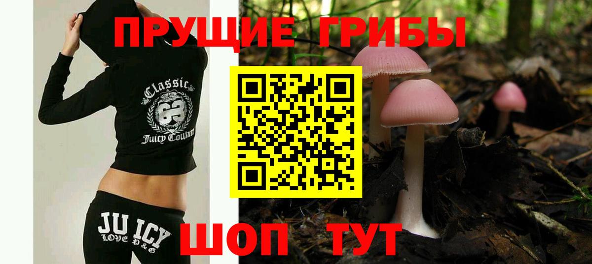 Галлюциногенные грибы прущие грибы Пугачёв